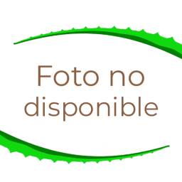 Imagen del producto TRIGO BLANCA